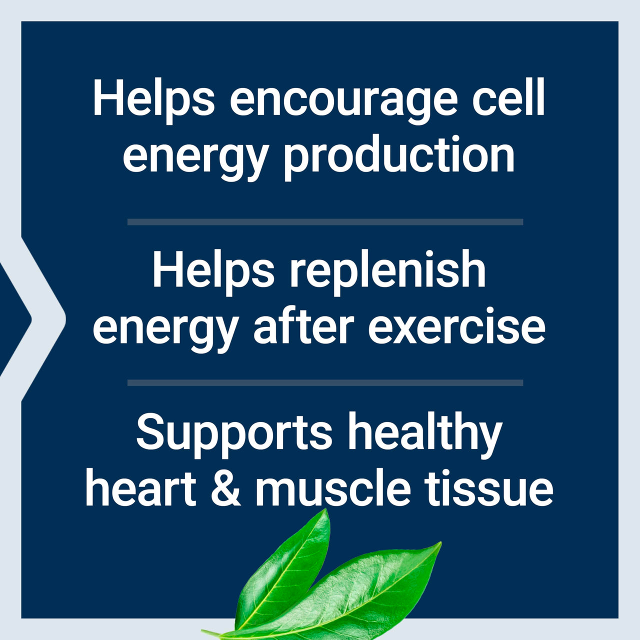 Life Extension D-Ribose Powder, Dissolve in Liquid to Encourage Cellular Energy Production and Support Heart and Muscle Health, Gluten-Free, Non-GMO, Vegetarian, 150 Grams