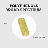 Thumbnail for Codeage Polyphenols Broad Spectrum Supplement - Blend of 15 Berries, Fruits, and Botanical Extracts, Decaf Green Tea Leaf, Quercetin, Resveratrol, Pomegranate, Turmeric - Non-GMO - 120 Capsules