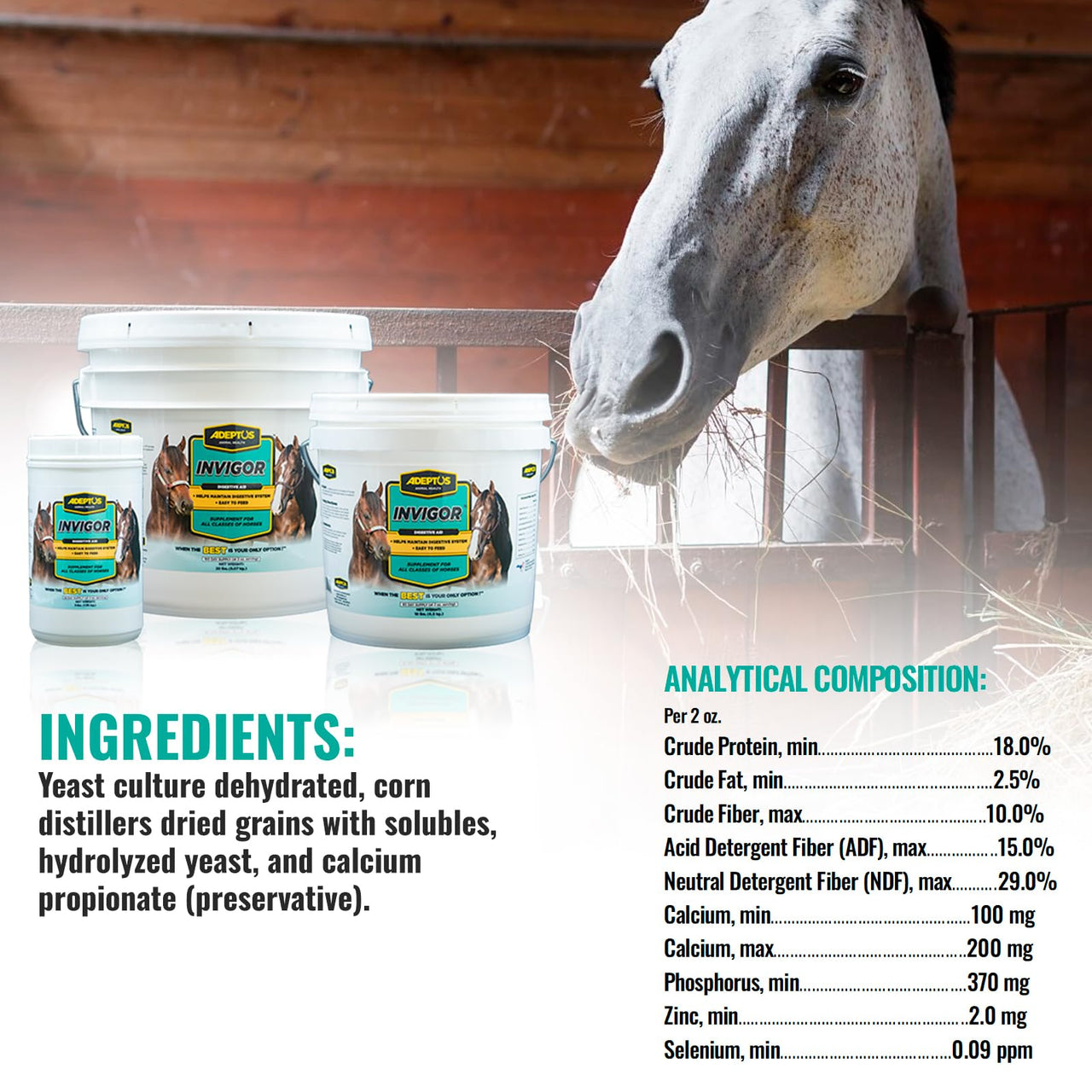Adeptus Nutrition Invigor Equine Digestive Support Supplement, Daily Prebiotic Yeast Formula with Hydrolyzed & Dehydrated Yeast, Low-Sugar Feed Topper for All Classes of Horses, 3 Lbs