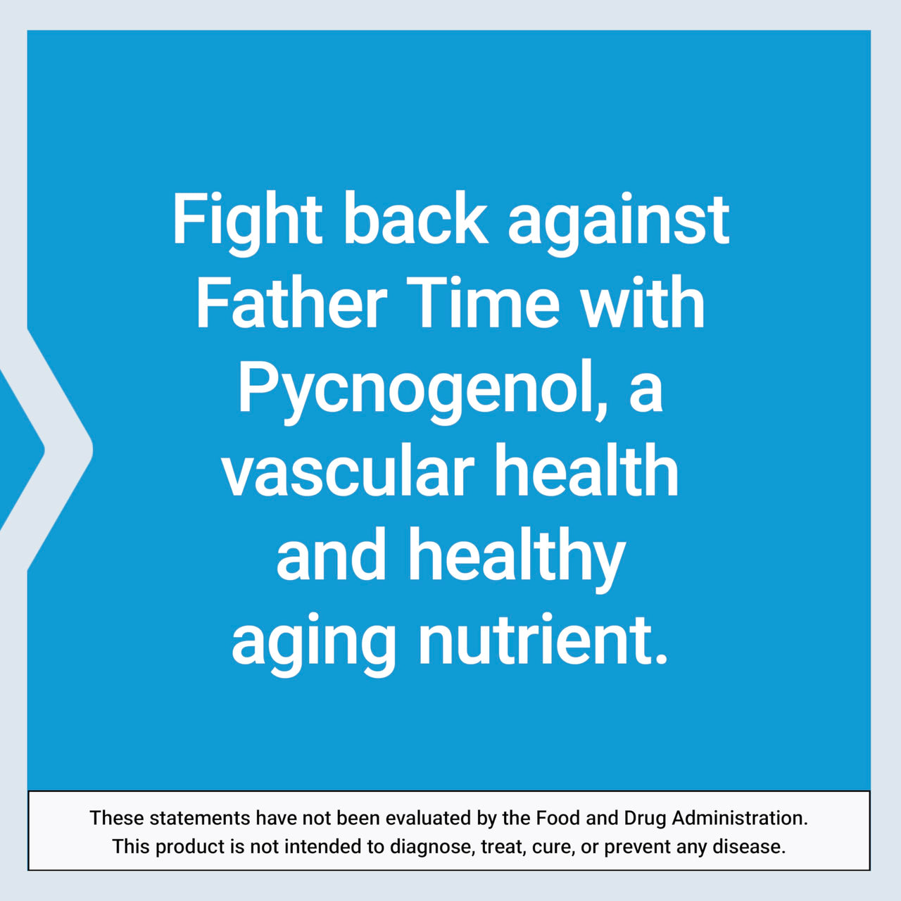 Life Extension Pycnogenol – French Maritime Pine Bark Extract – Scientifically Studied Healthy Aging & Vascular Health Supplement – Non-GMO, Gluten-Free, Vegetarian – 60 Capsules