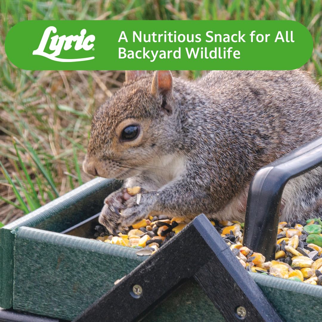 Lyric Wildlife Critter Food for Deer, Squirrels, Turkeys & Rabbits, Wild Bird Seed for Outside Feeders, 10 lb Bag
