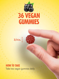 Thumbnail for Sundance Elderberry Gummies for Adults | with Zinc & Vitamin C | Berry Flavor | Vegan, Non-GMO, and Gluten Free Supplement
