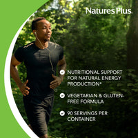 Thumbnail for NaturesPlus B-Complex with Rice Bran - 90 Tablets - Vegetarian, Gluten Free - 90 Servings