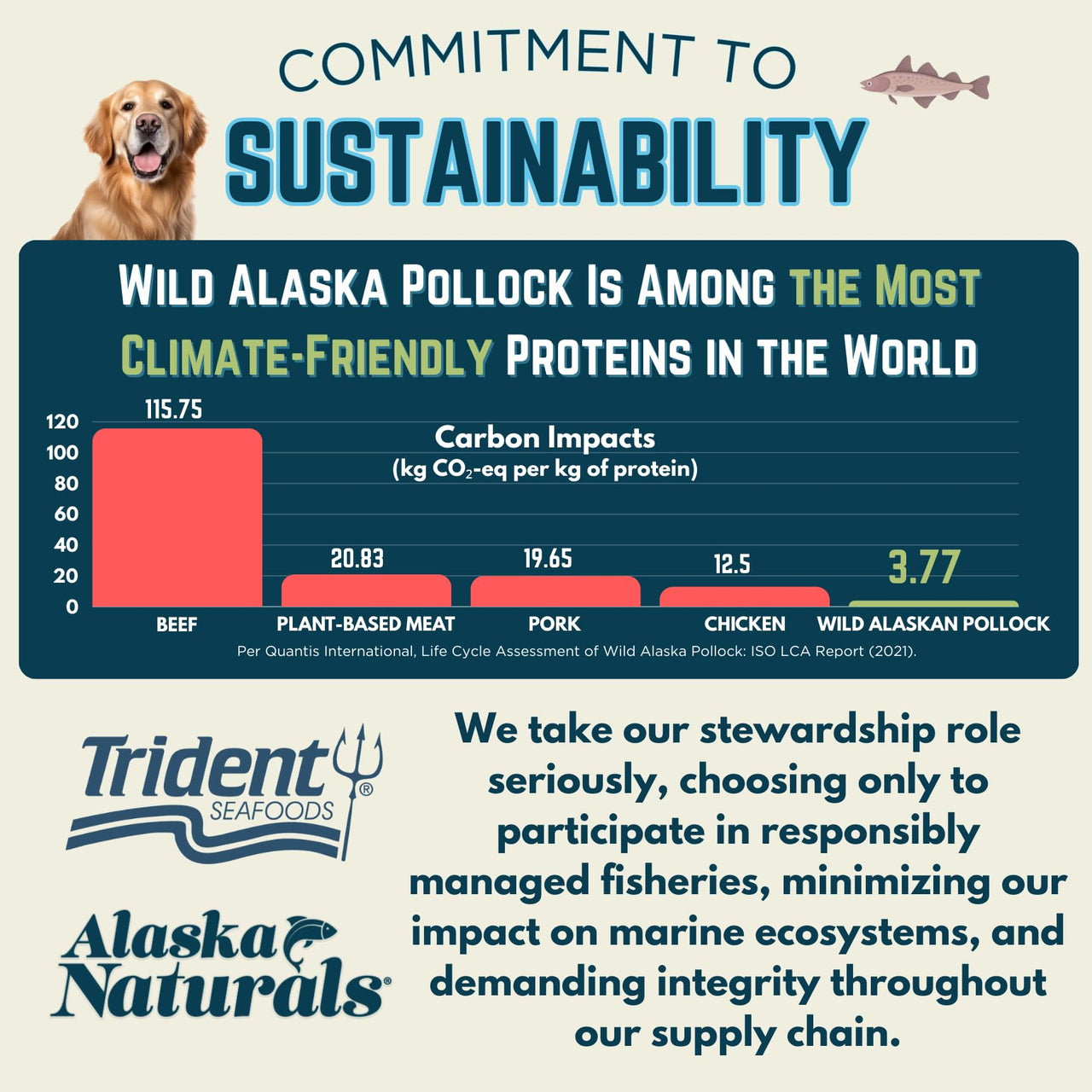 Alaska Naturals Wild Alaskan Fish Oil Supplement for Dogs Skin and Coat with EPA DHA Omega 3 Fatty Acids Sustainable Liquid Food Topper 15.5 oz. Pump