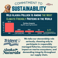 Thumbnail for Alaska Naturals Wild Alaskan Fish Oil Supplement for Dogs Skin and Coat with EPA DHA Omega 3 Fatty Acids Sustainable Liquid Food Topper 15.5 oz. Pump