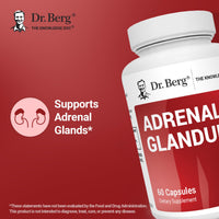 Thumbnail for Dr. Berg Adrenal Glandular - Hormone Balance Formula That Supports Healthy Adrenal Function - Adrenal Support Supplement - 60 Capsules