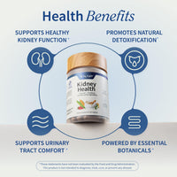 Thumbnail for Snap Supplements Kidney Health Support Supplement - Kidney and Urinary Tract Health Support for Women and Men, 60 Vegetarian Capsules (30 Servings, 1 Month Supply)