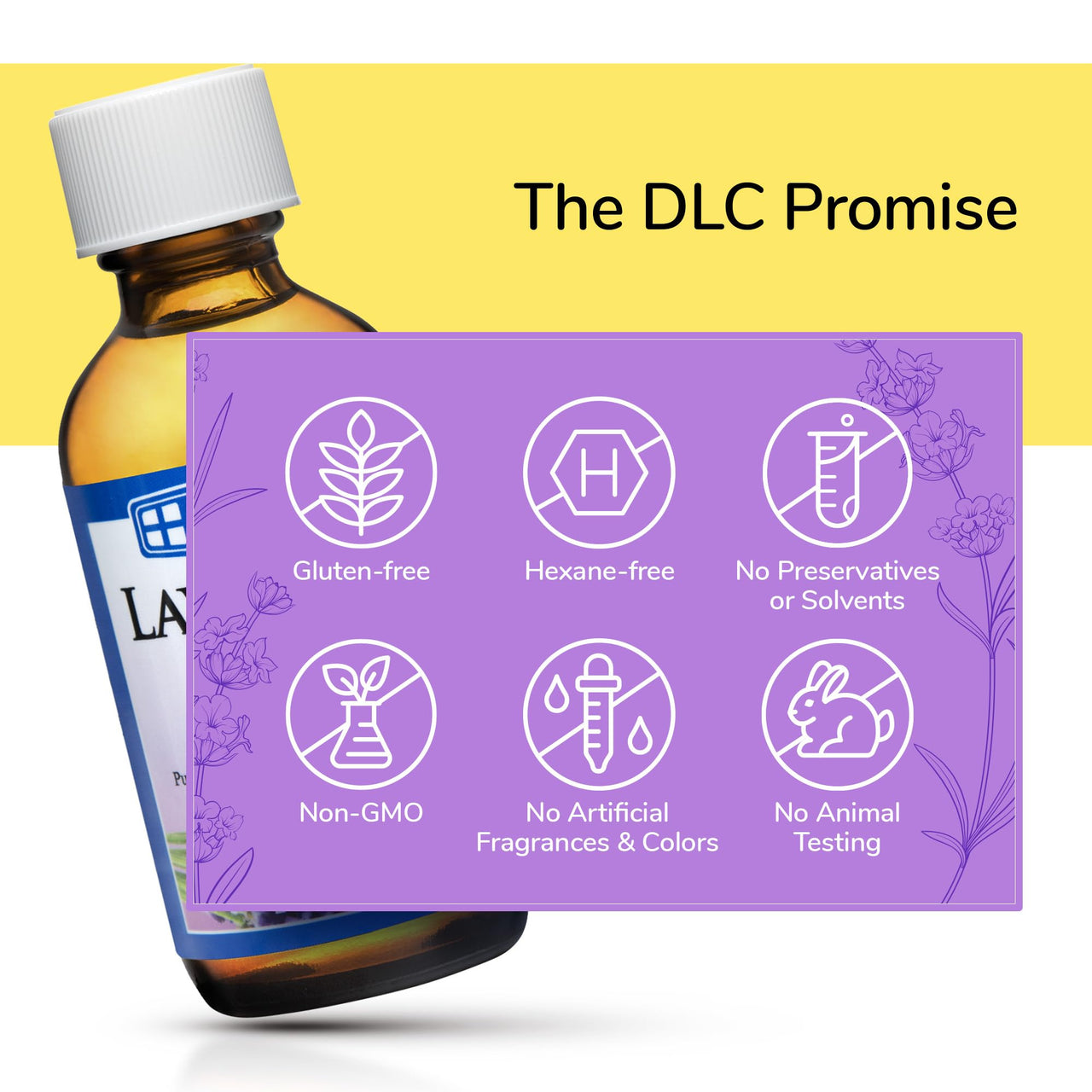 De La Cruz Lavender Essential Oil Steam-Distilled - 100% Pure Lavender Oil for Aromatherapy 2 Fl Oz (Pack of 1)