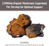 Thumbnail for Om Mushroom Superfood Chaga Organic Mushroom Powder, 3.5 Ounce, 50 Servings, US Grown, Sacred Antioxidants & Immune Support, Superfood Mushroom Supplement
