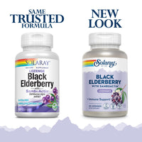 Thumbnail for Solaray - Sambuactin Elderberry Extract, 60 Lozenges