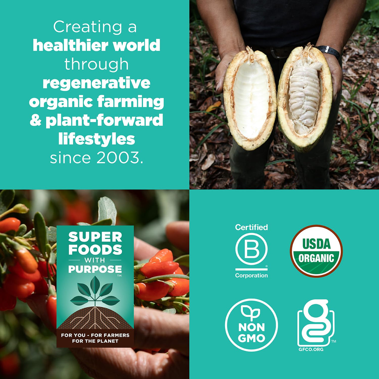 Navitas Organics Cacao Goji Superfood+ BITES – Power Snacks – All Natural Plant Based – Clean Energy & Nutrition – USDA Organic, Non GMO, Gluten Free, Soy Free, Kosher, Vegan (8oz. Bag 11 Servings)