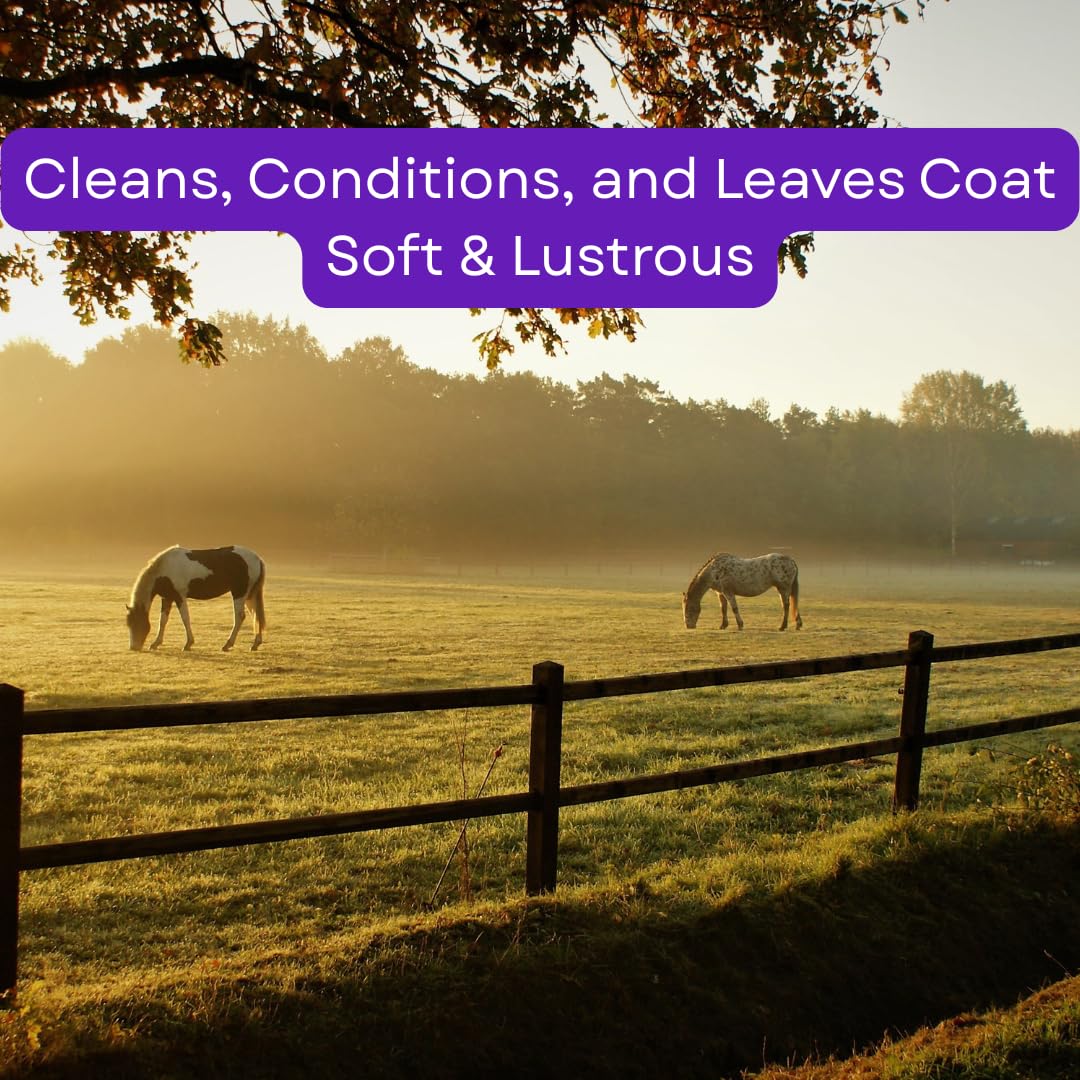 Corona Concentrated Horse Shampoo – Deep Cleaning Formula for Coat, Mane & Tail, 3 Liter | Removes Dirt & Sweat, Gentle on Skin, Rinses Easily