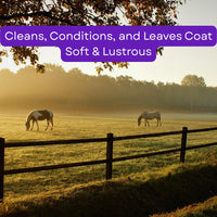 Thumbnail for Corona Concentrated Horse Shampoo – Deep Cleaning Formula for Coat, Mane & Tail, 3 Liter | Removes Dirt & Sweat, Gentle on Skin, Rinses Easily