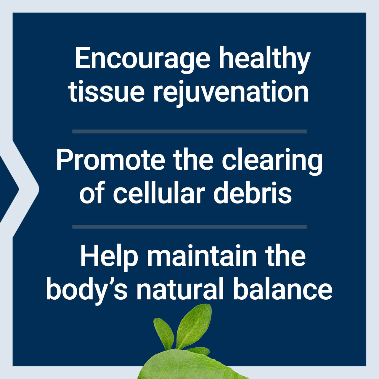 Life Extension Pro-Resolving Mediators, 18-HEPE, 17-HDHA, 14-HDHA, Supports The Body’s Natural Post-inflammatory Response, Gluten Free, Non-GMO, 30 softgels