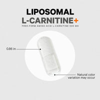 Thumbnail for Codeage Liposomal L-Carnitine+ Supplement - 500 mg L-Carnitine L-Tartrate per Serving - Free-Form Amino Acid - Carnitine - Liposomal Delivery - Vegan, Non-GMO, Gluten-Free - 90 Capsules