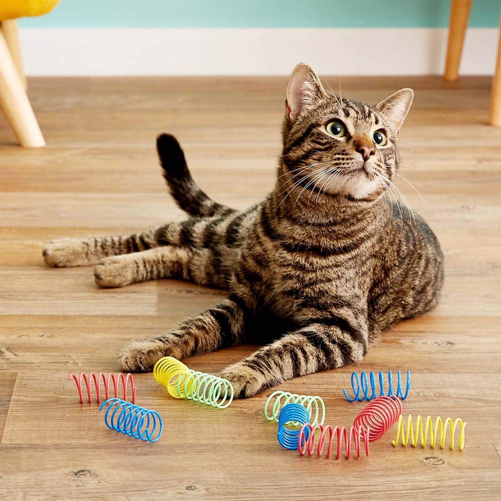 Eth Colorful Springs Cat Toy 10pk