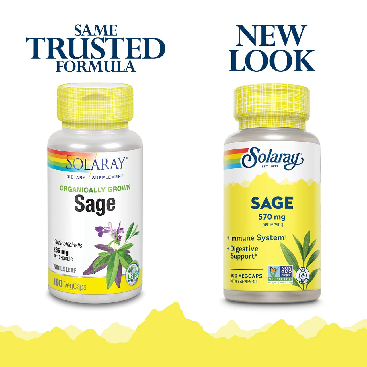 SOLARAY Sage Leaves Supplement for Women & Men - Sage Leaf Capsules, Natural Herbal Support for Immune System, 570 mg, Non GMO - 100 Veg Caps