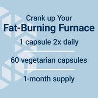 Thumbnail for Life Extension 7-Keto DHEA Metabolite – Crank Up Your Fat-Burning Furnace – Non-GMO – Gluten-Free – 100 Mg – 60 Vegetarian Capsules
