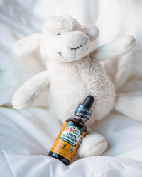 Thumbnail for Herb Pharm Kids Lemon Balm Calm: Organic Herbal Calming Tincture for Kids, Alcohol-Free, Sugar-Free, Kid-Friendly Taste, and Non-GMO Lemon Balm Extract, Sugar-Free, Liquid Herbs, 1 oz*