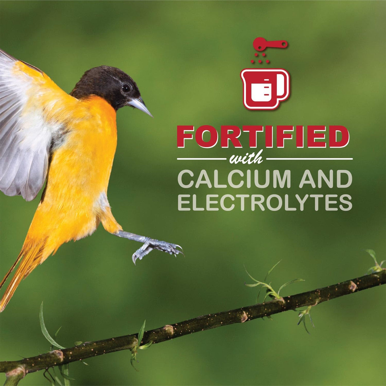 sweet-seed Oriole Nectar 1.5L (50.7 oz), Ready to Use - Extends The Life of Nectar for Oriole Feeders | Ultimate Oriole Food… (1)