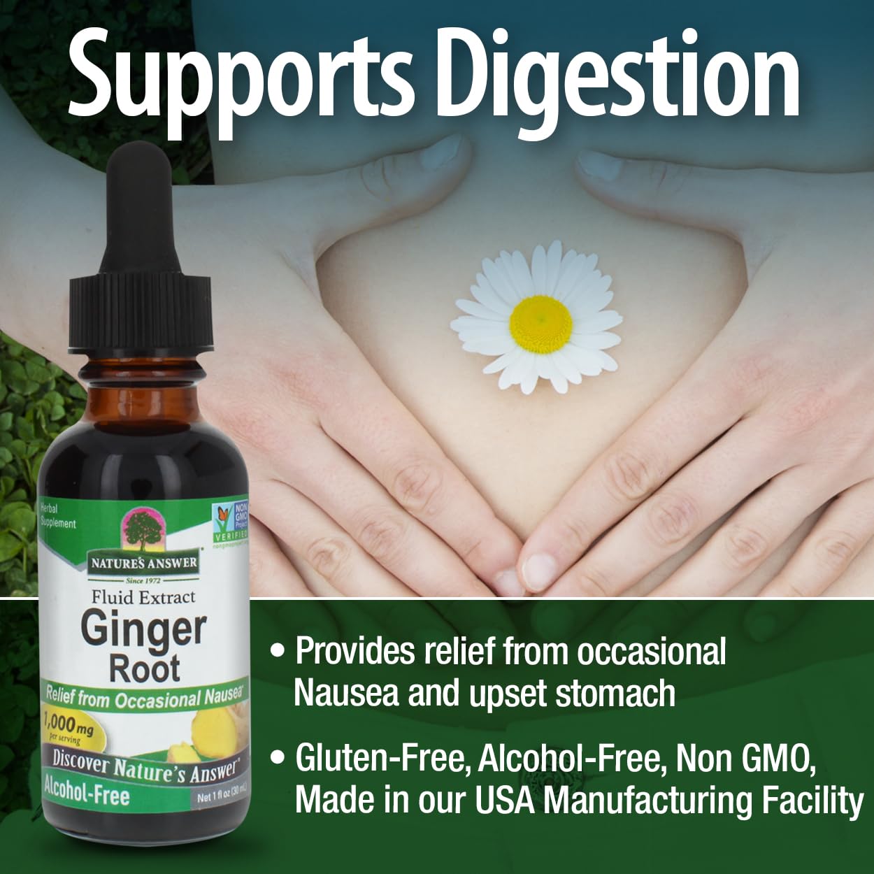Nature's Answer Alcohol-Free Ginger Root, 1-Fluid Ounce | Inflammatory Support | Supports Digestion