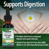 Thumbnail for Nature's Answer Alcohol-Free Ginger Root, 1-Fluid Ounce | Inflammatory Support | Supports Digestion
