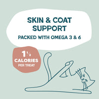 Thumbnail for Shameless Pets Crunchy Cat Treats - Kitty Treats for Cats with Skin & Coat Support, Natural Ingredients Kitten Treats with Real Salmon, Healthy Flavored Feline Snacks - Yam Good Salmon, 1-Pk
