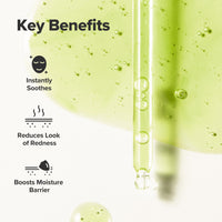 Thumbnail for Beauty of Joseon Calming Serum Green Tea Panthenol Soothing, Moisturizing Sensitive, Acne-Prone, UV Irritated Skin, Daily Korean Skin Care for Men and Women, 30ml 1 fl.oz