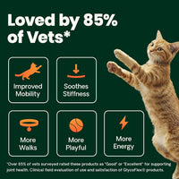 Thumbnail for VetriScience Ultimate Strength Healthy Hip & Joint Chews, GlycoFlex Glucosamine, Chondroitin and Green-Lipped Mussel Joint Supplement for Cats, Soothe Joint Discomfort, Fish, 30 Count