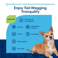 Thumbnail for NaturVet Quiet Moments Calming Aid Dog Supplement, Helps Promote Relaxation, Reduce Stress, Storm Anxiety, Motion Sickness for Dogs (Quiet Moments Plus Hemp, 180 Soft Chews)
