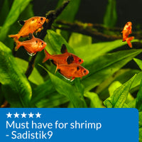 Thumbnail for API COPPER TEST KIT 90-Test Aquarium Water Test Kit
