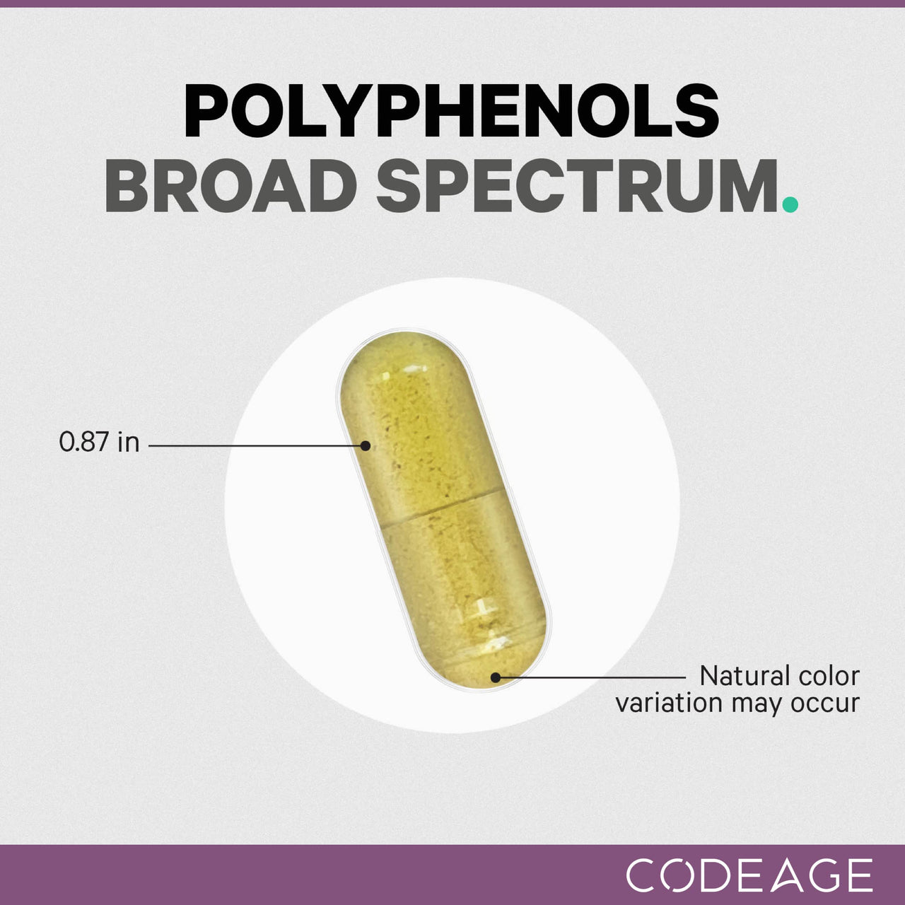 Codeage Polyphenols Supplement - Organic Green Tea Pills, Quercetin, Pomegranate, Turmeric - Resveratrol & Plant Polyphenols Foods - Polyphenol Nutrients - Vegan, Non-GMO - 2 Pack