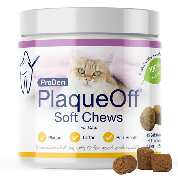 ProDen PlaqueOff Soft Chews with Natural Kelp - for All Breed Cats - Supports Normal, Healthy Teeth, Gums, and Breath Odor in Cats - 45 Soft Chews
