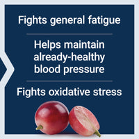 Thumbnail for Life Extension NAD+ Cell Regenerator and Resveratrol Elite, NIAGEN nicotinamide riboside, Trans-resveratrol, quercetin, Fisetin, for Longevity, Energy, and oxidative Stress, 30 Vegetarian Capsule