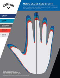 Thumbnail for Callaway Golf Weather Spann Glove (Worn on Left Hand,White,Large,Men's)