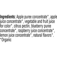 Thumbnail for Pure Organic Twisted Fruit Bites, Kids Snacks, Fruit Snacks, Blueberry Raspberry (16 Pouches)