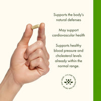 Thumbnail for Swanson Olive Leaf Extract Capsules with 20% Oleuropein - Provides Immune Support, Promotes Cardiovascular System Health, and Supports Healthy Blood Pressure - (120 Capsules, 500mg Each)