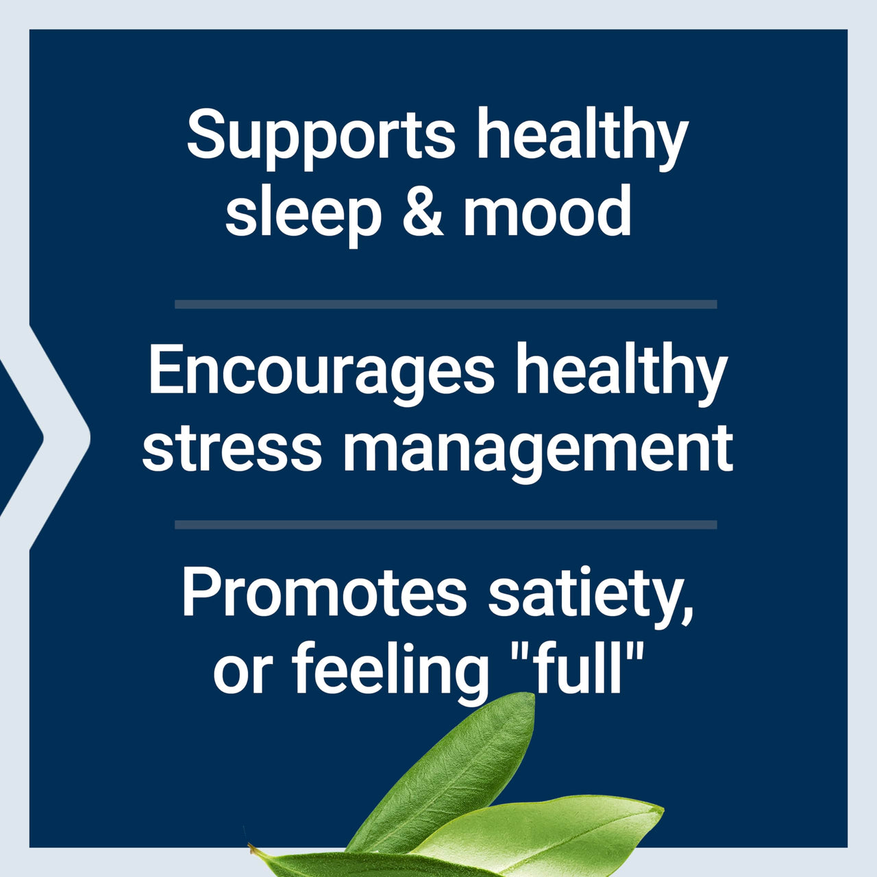 Life Extension Optimized Tryptophan Plus 1000mg - L-Tryptophan Supplement with Niacin and L-Lysine for Healthy Sleep & Stress Response – Gluten-Free, Non-GMO, Vegetarian - 90 Capsules
