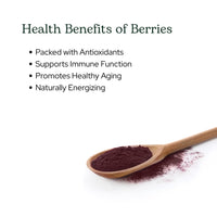 Thumbnail for Eclectic Herb - Nutrigenomc Superberry Superfood Berry Supplement Powder | Nutritional Support | Antioxidant + Immune Support | Natural, Vegan, Non-GMO, Gluten Free (3.2 oz | 90 g)