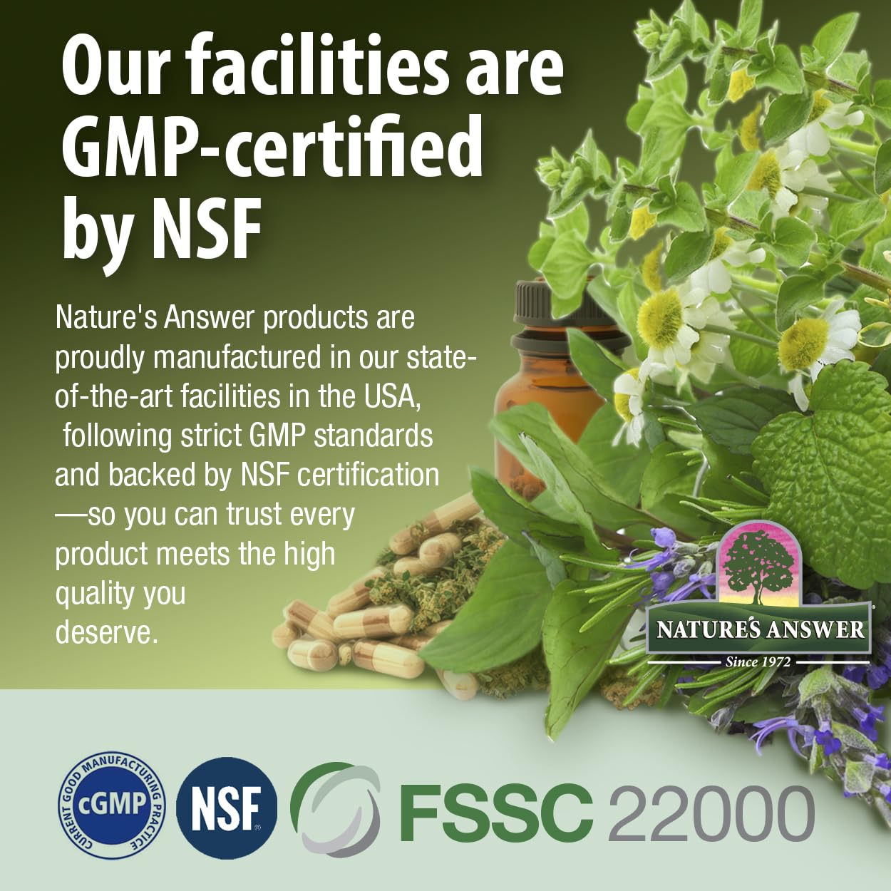 Nature's Answer Alcohol-Free Gymnema Leaf 1oz Extract | Gluten-Free | Non-GMO | Vegan | No Artificial Flavors or Preservatives | Single Count