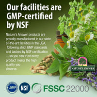 Thumbnail for Nature's Answer Alcohol-Free Gymnema Leaf 1oz Extract | Gluten-Free | Non-GMO | Vegan | No Artificial Flavors or Preservatives | Single Count