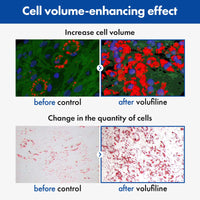 Thumbnail for TOSOWOONG Volufiline Serum, 100% France Sederma Volufiline Concentrate for Plumping, Skin firming, Boost and Glass skin, glow Skincare for Face, lip and body, 11ml 0.37 fl. oz.