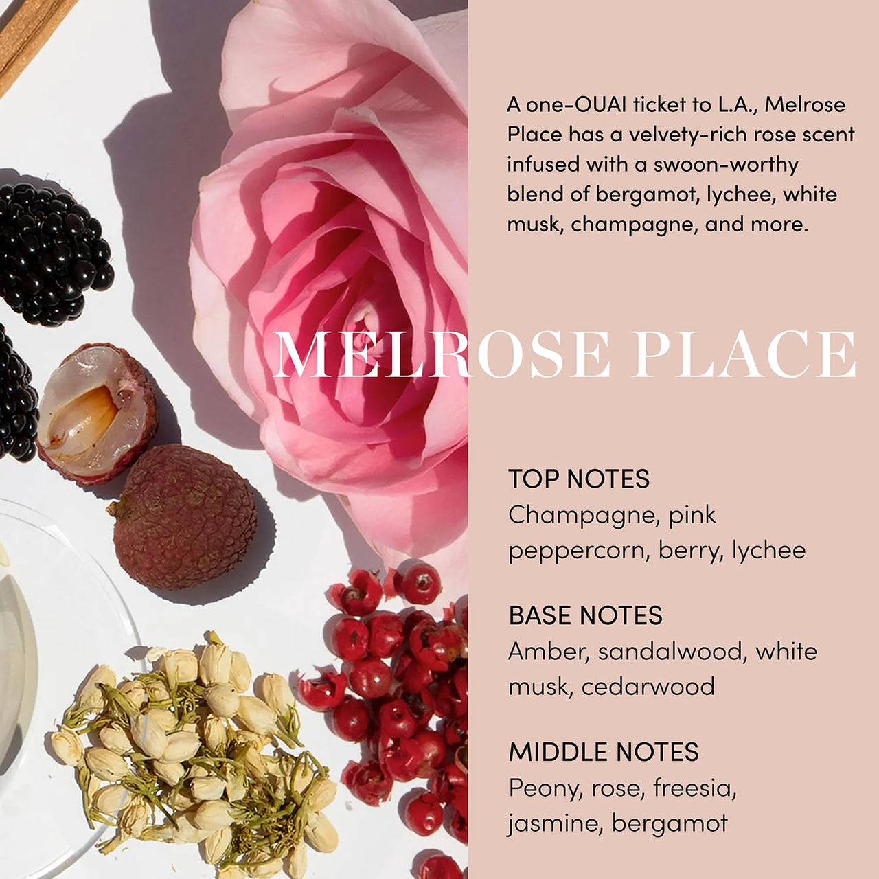 OUAI Rose Hair and Body Oil, Melrose Place - Scented Body Oil for Skin and Hair - Hydrates Dry Ends, Restores Moisture, Fights Frizz and Adds a Radiant Glow (3 oz)