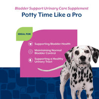 Thumbnail for NaturVet Bladder Support Plus Cranberry for Dogs, 60 ct Soft Chews, Made in The USA with Globally Source Ingredients