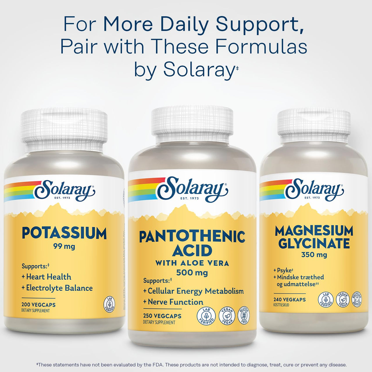 SOLARAY Pantothenic Acid 500mg - Pantothenic Acid Supplement (Vitamin B5) - Essential B Complex Vitamin - Nervous System and Cellular Energy Support - Vegan, Gluten Free, 60-Day Guaratee, 250 Servings