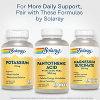 Thumbnail for SOLARAY Pantothenic Acid 500mg - Pantothenic Acid Supplement (Vitamin B5) - Essential B Complex Vitamin - Nervous System and Cellular Energy Support - Vegan, Gluten Free, 60-Day Guaratee, 250 Servings