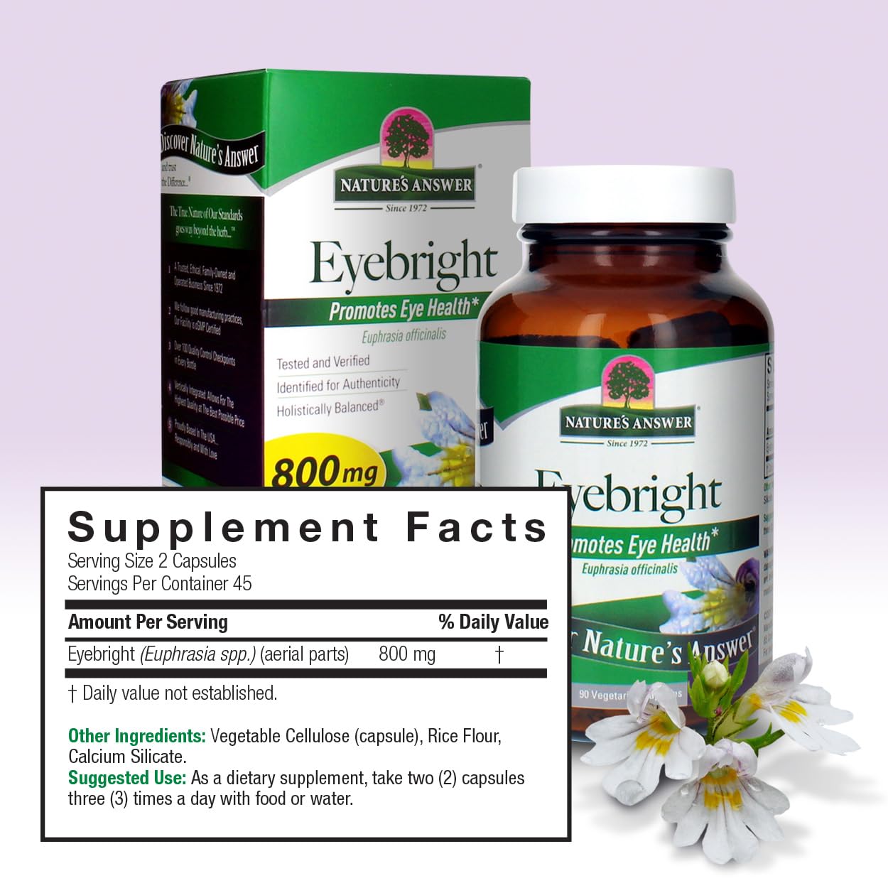 Natures Answer Eyebright Herb 90 Capsules