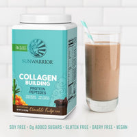 Thumbnail for Vegan Collagen Protein Powder for Women | Plant Based Collagen Powder Chocolate Flavor with Vegan Hair Skin and Nails Vitamins | Non-GMO No Added Sugar Soy Dairy & Gluten Free (Chocolate, 40 Servings)