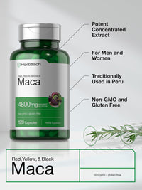 Thumbnail for Horbäach Maca Root Capsules for Men and Women | 120 Pills | High Potency Extract | Non-GMO and Gluten Free Formula