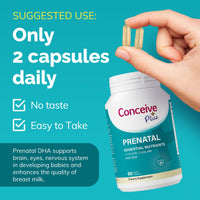 Thumbnail for Conceive Plus Prenatal Vitamins for Women Supplement - Multivitamin With Folic Acid for Pregnancy Vegan, Choline, Iron - Pre Natal Vitamins DHA, Non GMO - Maternity Vitamin for Brain & Eye 60 Capsules